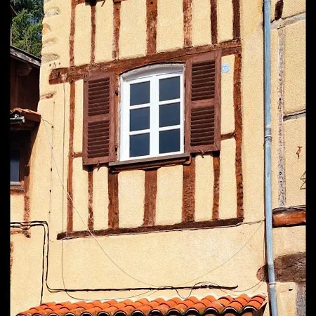 Charmant Duplex A Thiers, Vue Sur La Chaine Des Puys Buitenkant foto