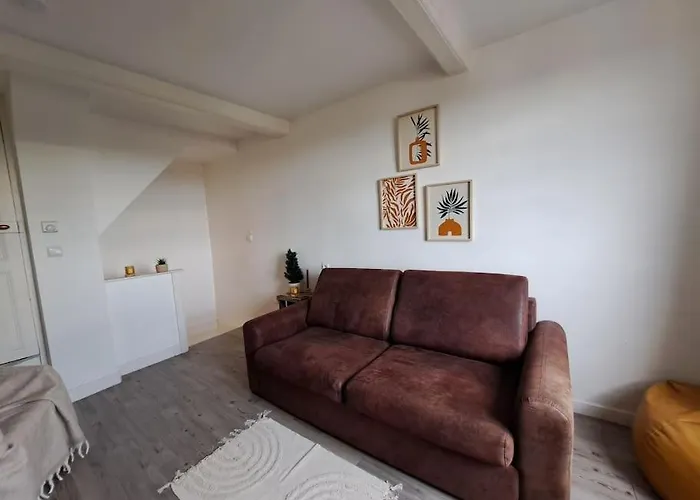Charmant Duplex A Thiers, Vue Sur La Chaine Des Puys